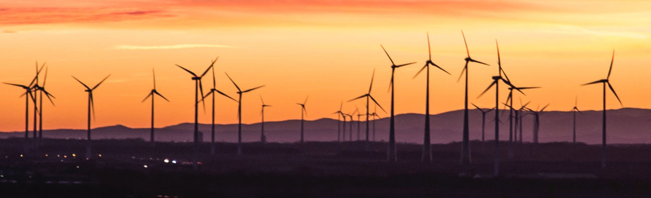 Landscape of wind turbines at sunset.